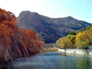 澳门二四六天天彩图库，黄山seo外包